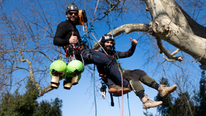 Plus de 40 arboristes grimpeurs vont se lancer dans une compétition inédite de grimpe d’arbres freestyle à Pont-Saint-Esprit